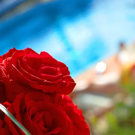 Casa Bela Moura, Boutique Hotel&wine Hotel Porches (Algarve)