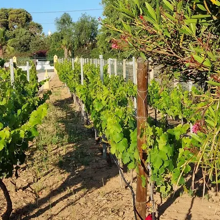 Casa Bela Moura, Boutique & Wine 4*