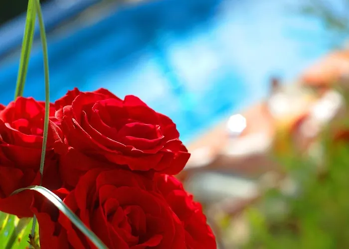 Casa Bela Moura, Boutique & Wine Hotel Porches (Algarve)