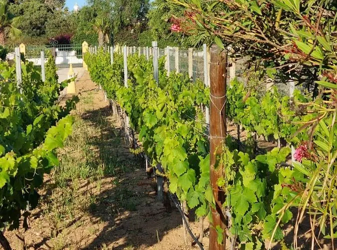 Casa Bela Moura, Boutique & Wine 4*